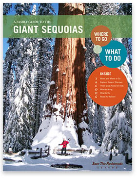 A Family Guide to the Giant Sequoias