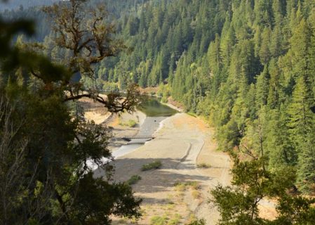 Twin Trees offers high-quality habitat in the designated Wild and Scenic South Fork Eel River for imperiled species such as steelhead trout, coho and chinook salmon. Photo by Mike Shoys