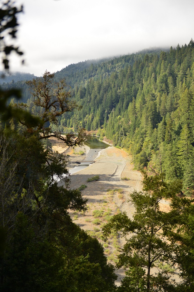 Twin Trees offers high-quality habitat in the designated Wild and Scenic South Fork Eel River for imperiled species such as steelhead trout, coho and chinook salmon. Photo by Mike Shoys