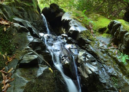 An unnamed waterfall on the Twin Trees property. Photo by Mike Shoys