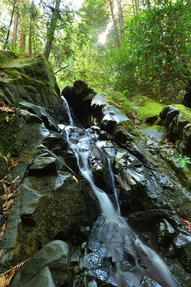 An unnamed waterfall on the Twin Trees property. Photo by Mike Shoys