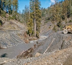 Amazing before-and-after photos of conservation impacts in Redwood National and State Parks