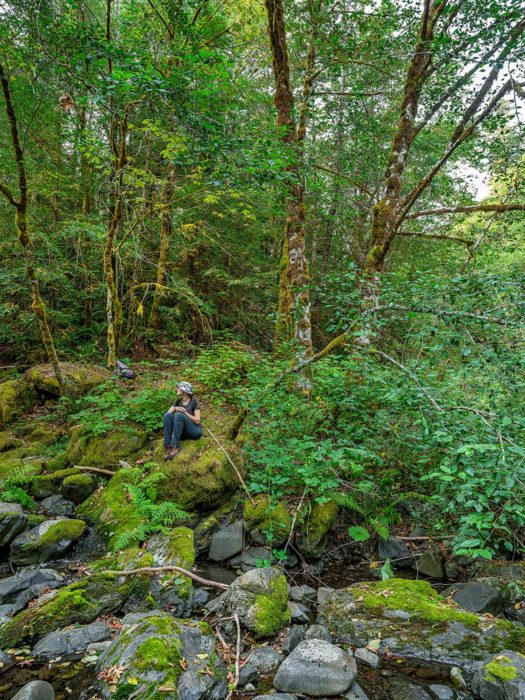 A woman sits on a moss-covered boulder among lush trees and ferns and moss-covered rocks in the foreground.