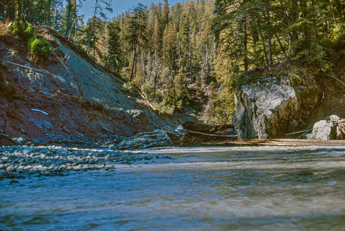 Old photo of a creek filled with sediment in a logged redwood forest