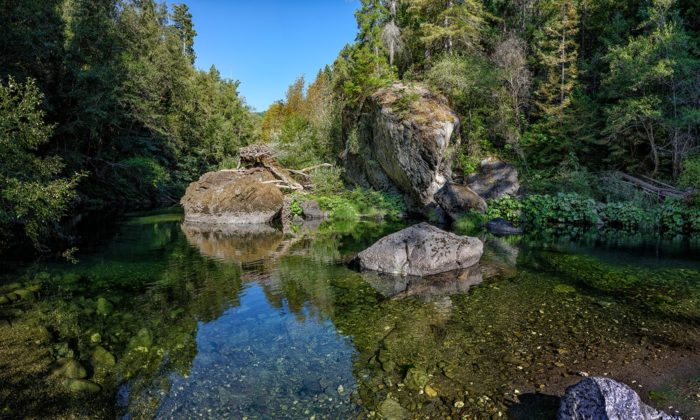 A river with pebbles seen through the clear water and large rocks on the banks, surrounded by a lush forest