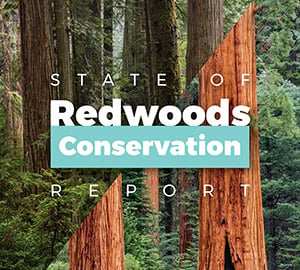 State of the Redwoods Conservation Report