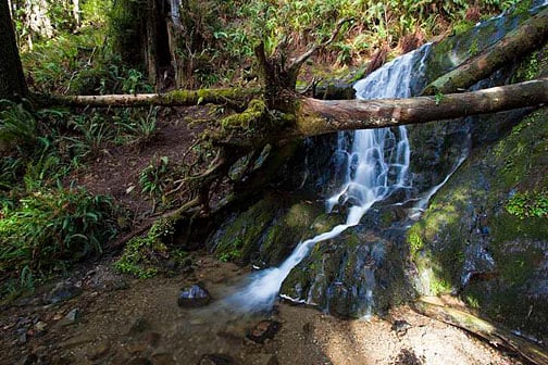 Fern Falls. Photo by Dave Baselt, RedwoodHikes.com