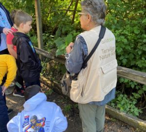 Redwood Connect grantees providing meaningful redwood experiences