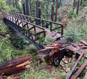 Storms close redwood parks throughout California