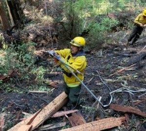 Innovation resolves a tricky fire in Jedediah Smith Redwoods State Park