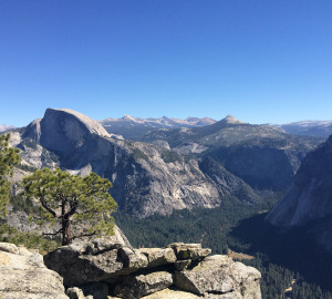 Muir was the champion of majestic, wild landscapes like this one in Yosemite Valley.