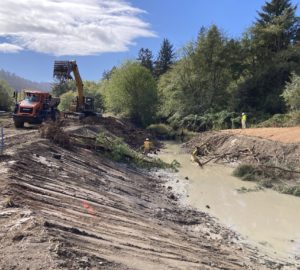 yurok prairie creek